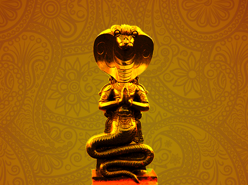 Online Homam Book Homam Puja Functions Kaala Sarpa Dosha Pariharam Pujas These aspects are special to vedic astrology and refer to a very special period of planetary positions on your chart.